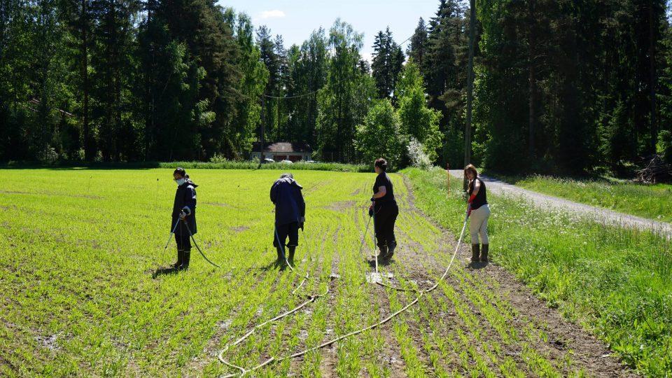 Figure 2. Implementation of alternative sanitation technologies and nutrient recovery in Hiedanranta area in the City of Tampere (Photo: Trung Dang).