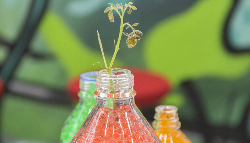 Kuvassa on vihreä-sini-punainen tausta ja etuosassa kolme läpinäkyvää pulloa, jossa kellertävää, vihreää ja oranssia rakeista täytettä. Edessä olevasta pullosta kasvaa verso.
