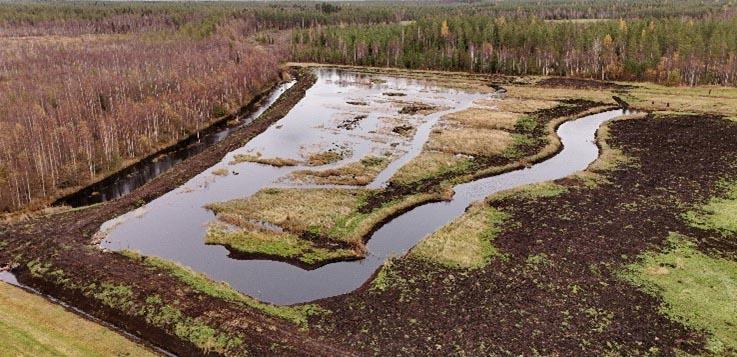 Kiemurteleva joki ja peltoaukeita.