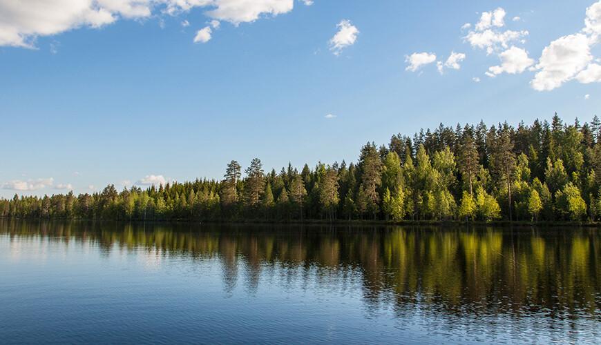 Järvimaisema metsänlaidasta.